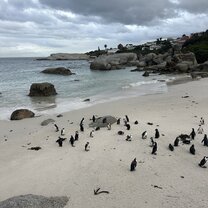 Boulders Beach